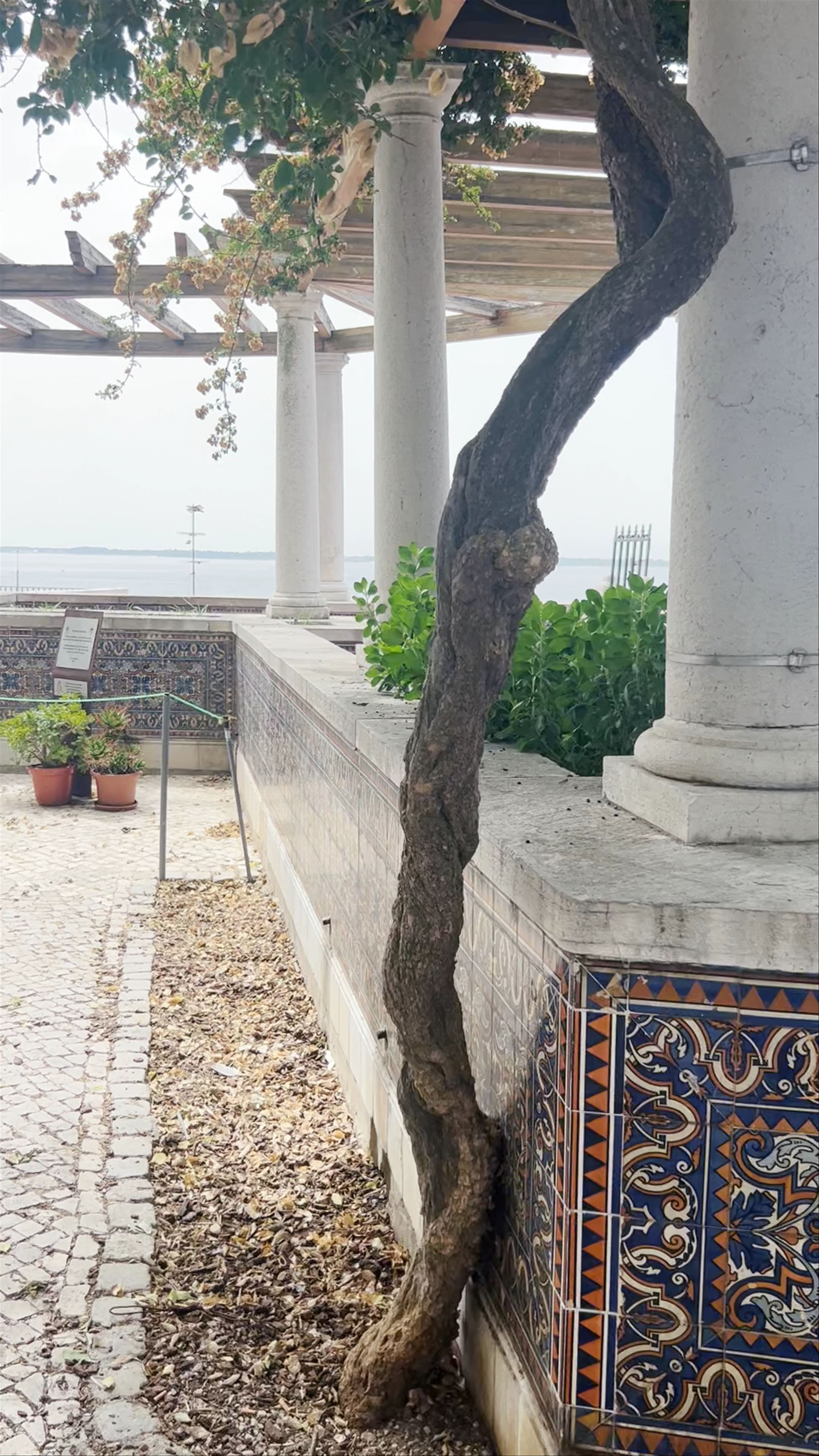 Miradouro de São Sebastião