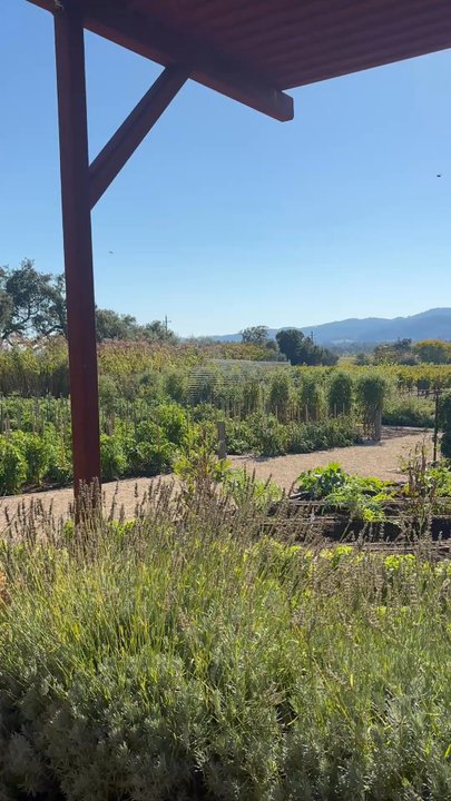 Regusci Winery - Wine Tasting Room Near Me - Napa, California