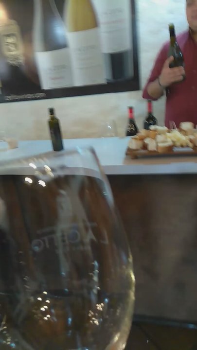 L.A. Cetto - Wine Tasting Room Near Me - Tijuana, BCN