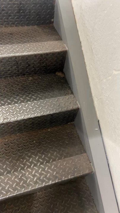 Public Storage - Dead mouse, hole in wall, questionable substance in door - Self Storage Near Me - Reno, Nevada
