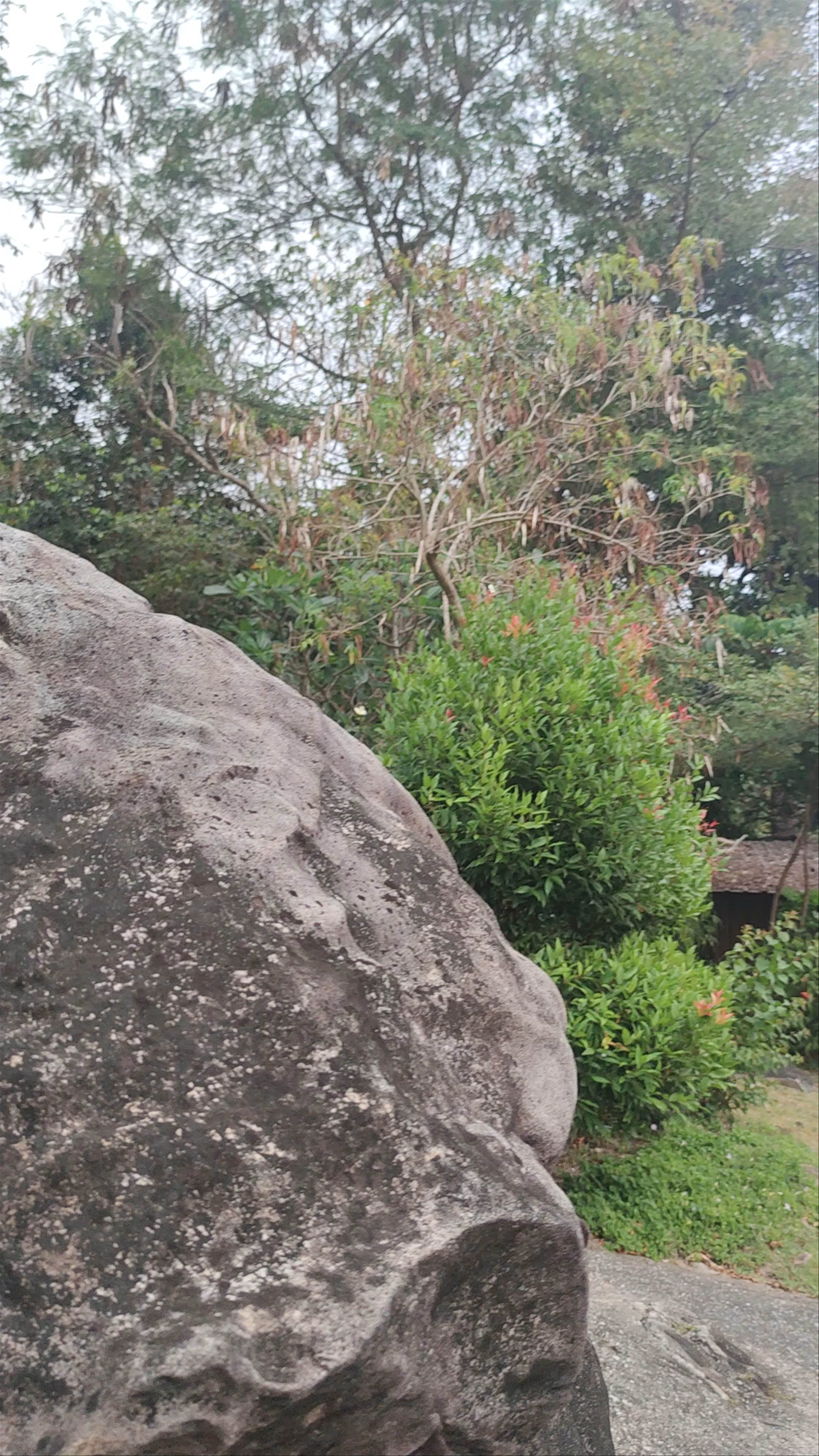 Phi Phi Viewpoint (level 2)