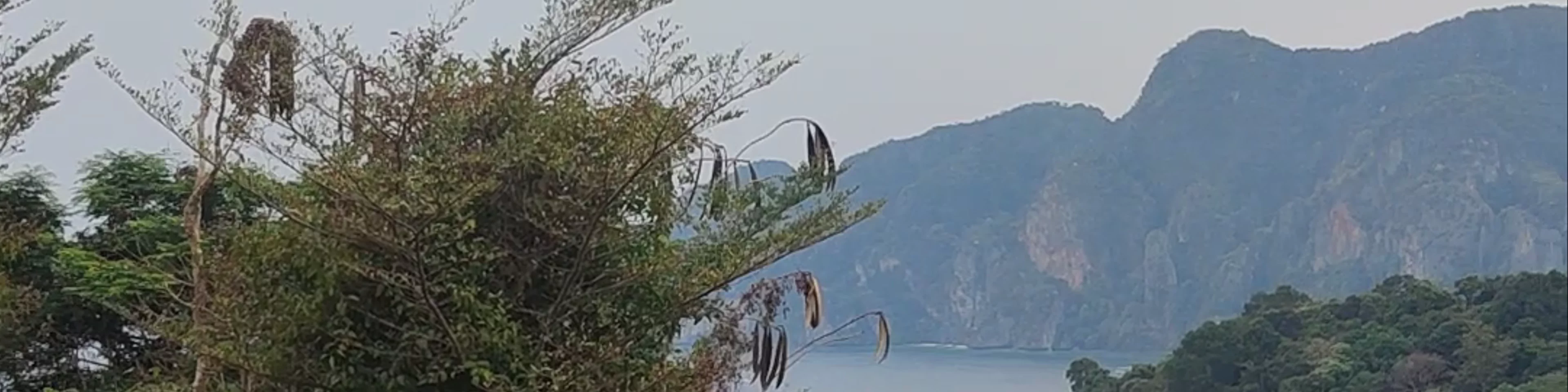 Phi Phi Viewpoint (level 2)