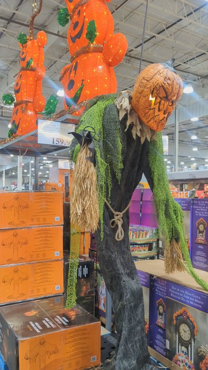 Costco - Wholesale Stores Near Me - Charleston, South Carolina