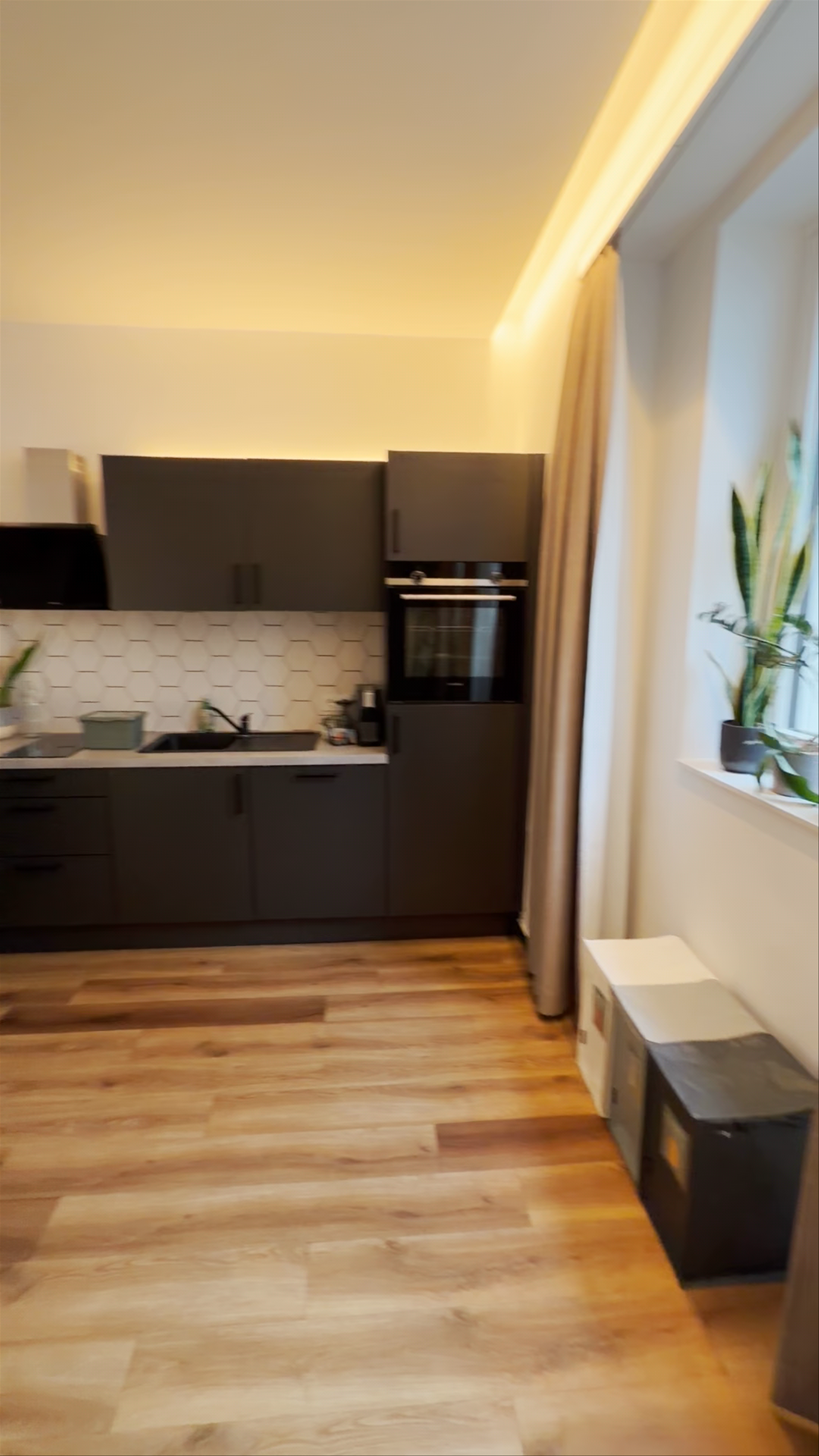 Urban Jungle Apartments