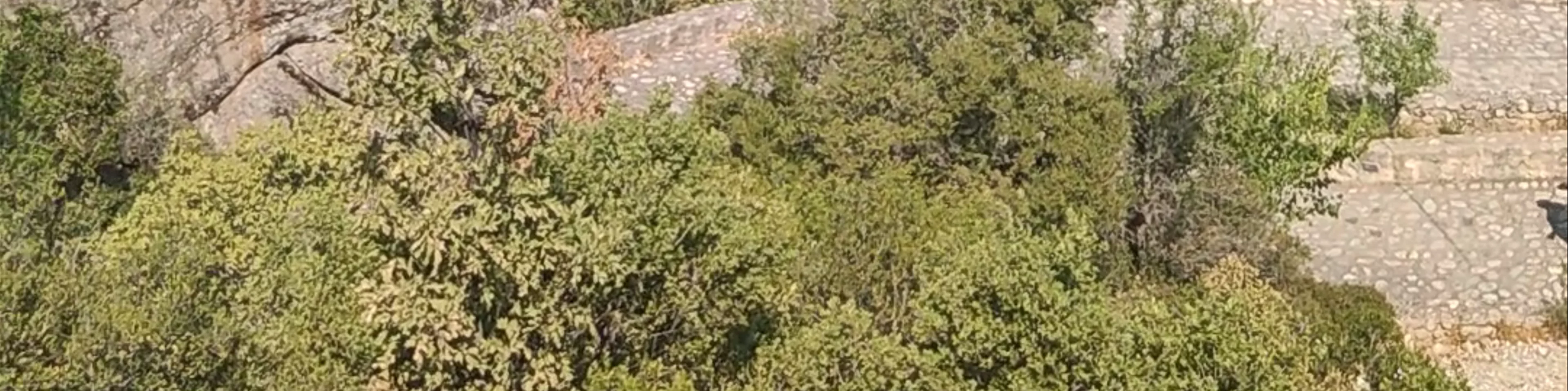 Main Observation Deck of Meteora