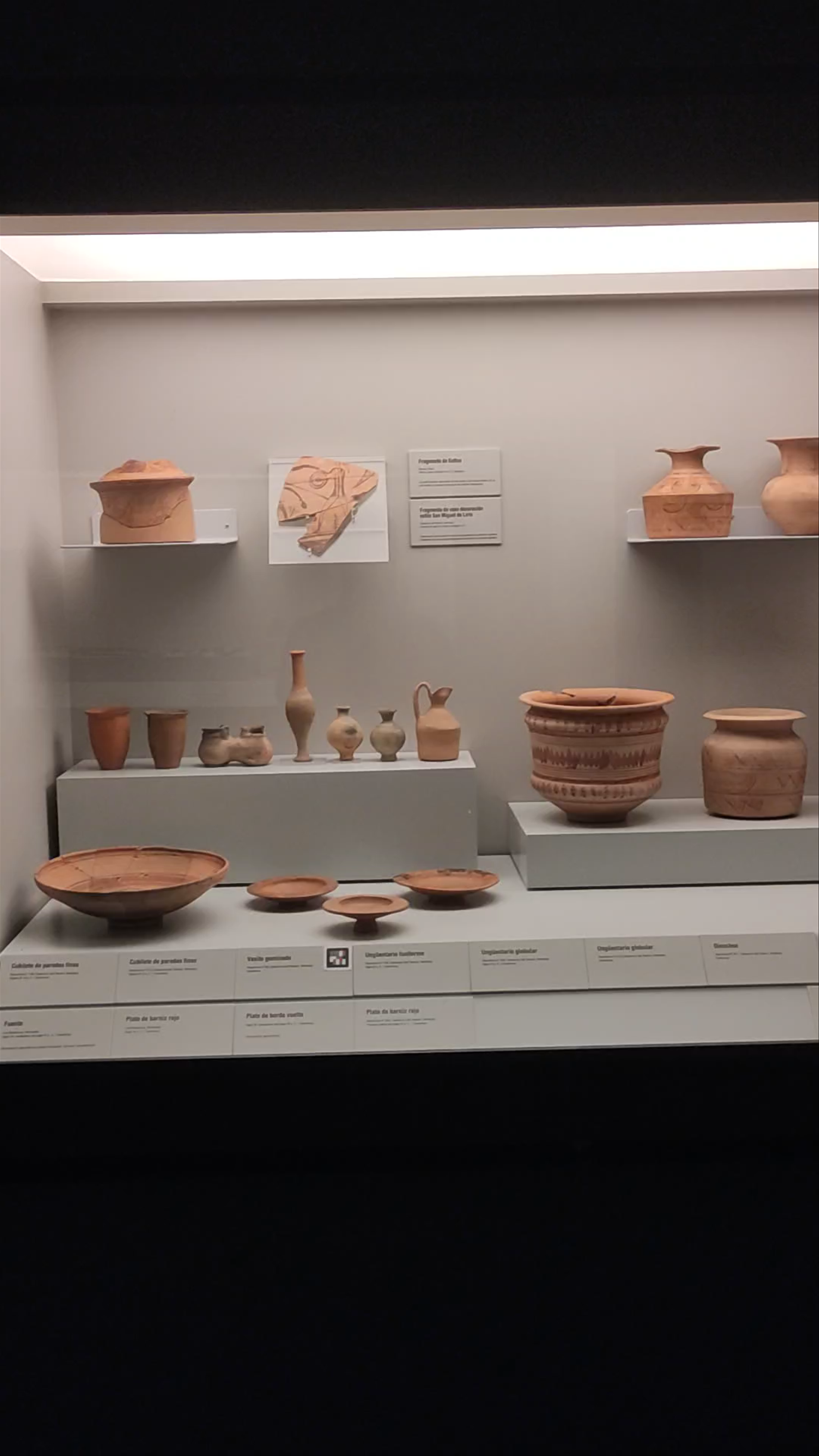Museo Arqueológico de Murcia (MAM)