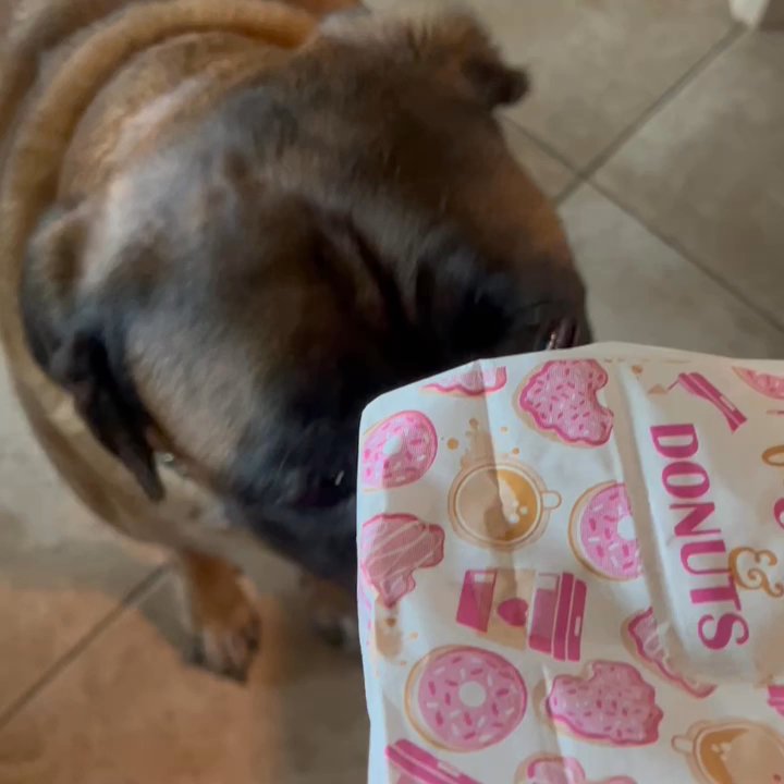 Donutland - Donuts Near Me - Royse City, Texas