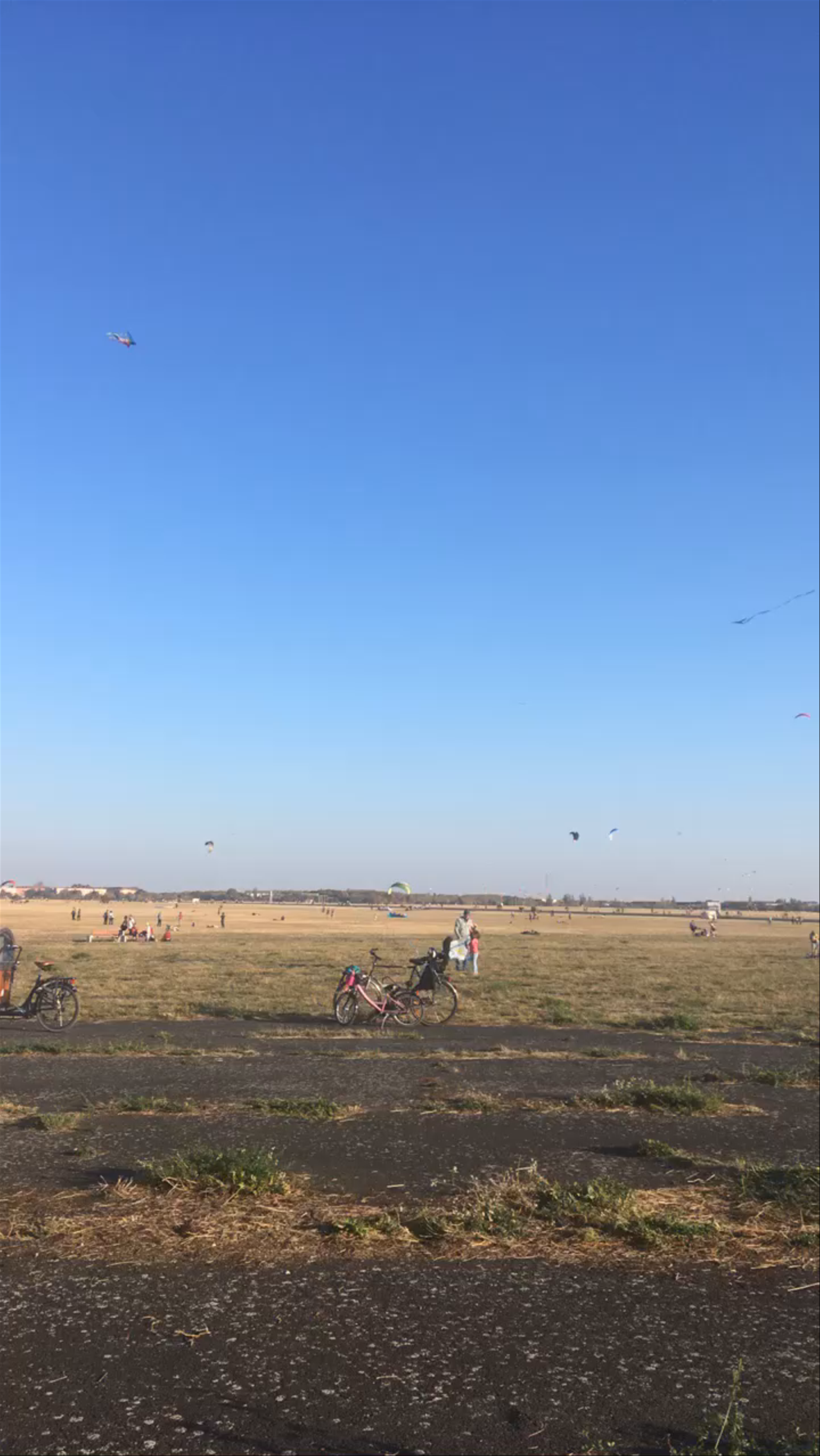 Sunny Kite Flying at Tempelhof Airport Park, Berlin