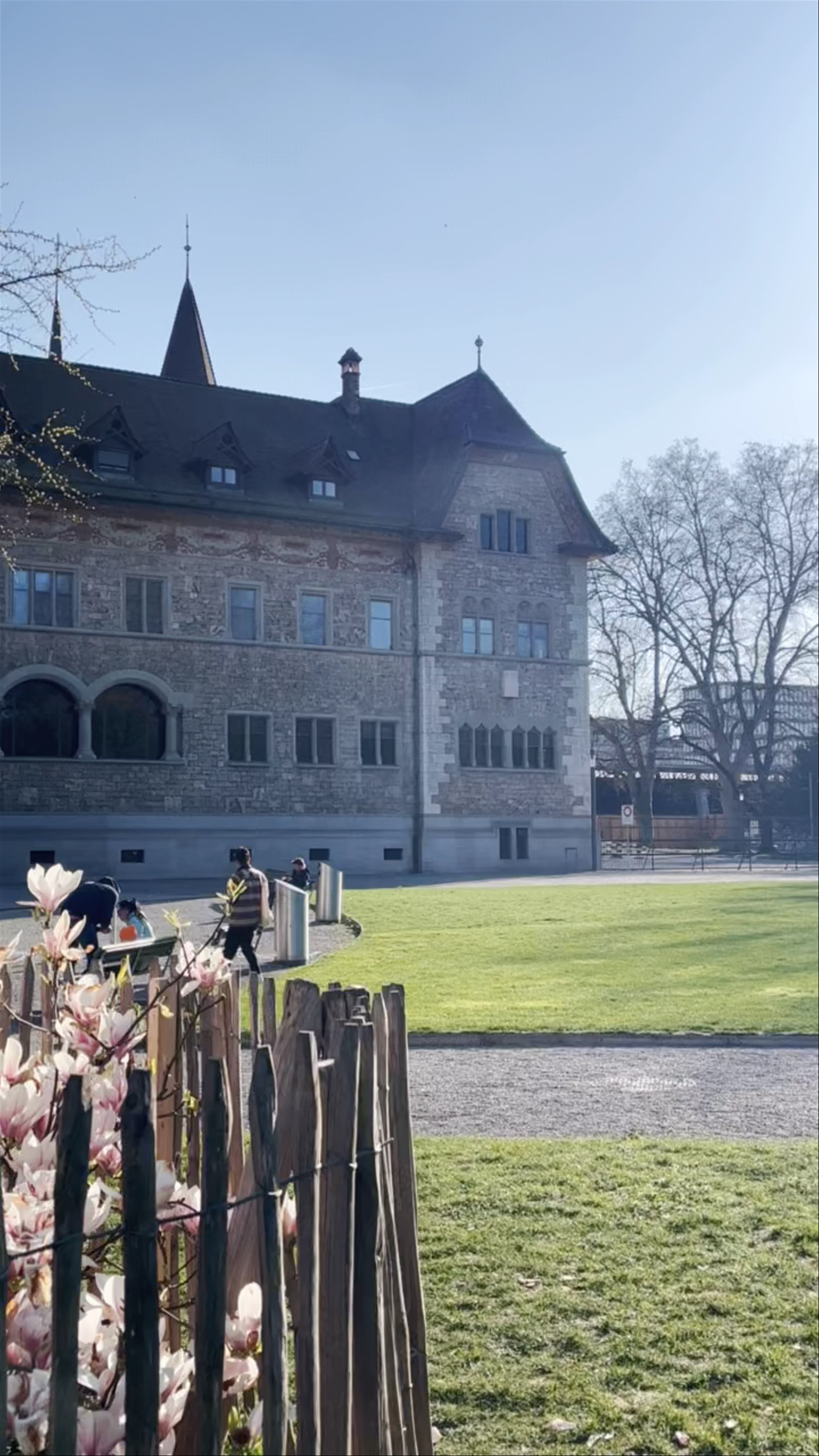 Platzspitz, Platzpromenade