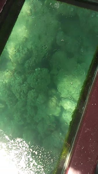 Photo of Boat rides exploring