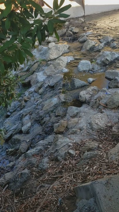 Serrano Creek Trail - Hiking Near Me - Lake Forest, California