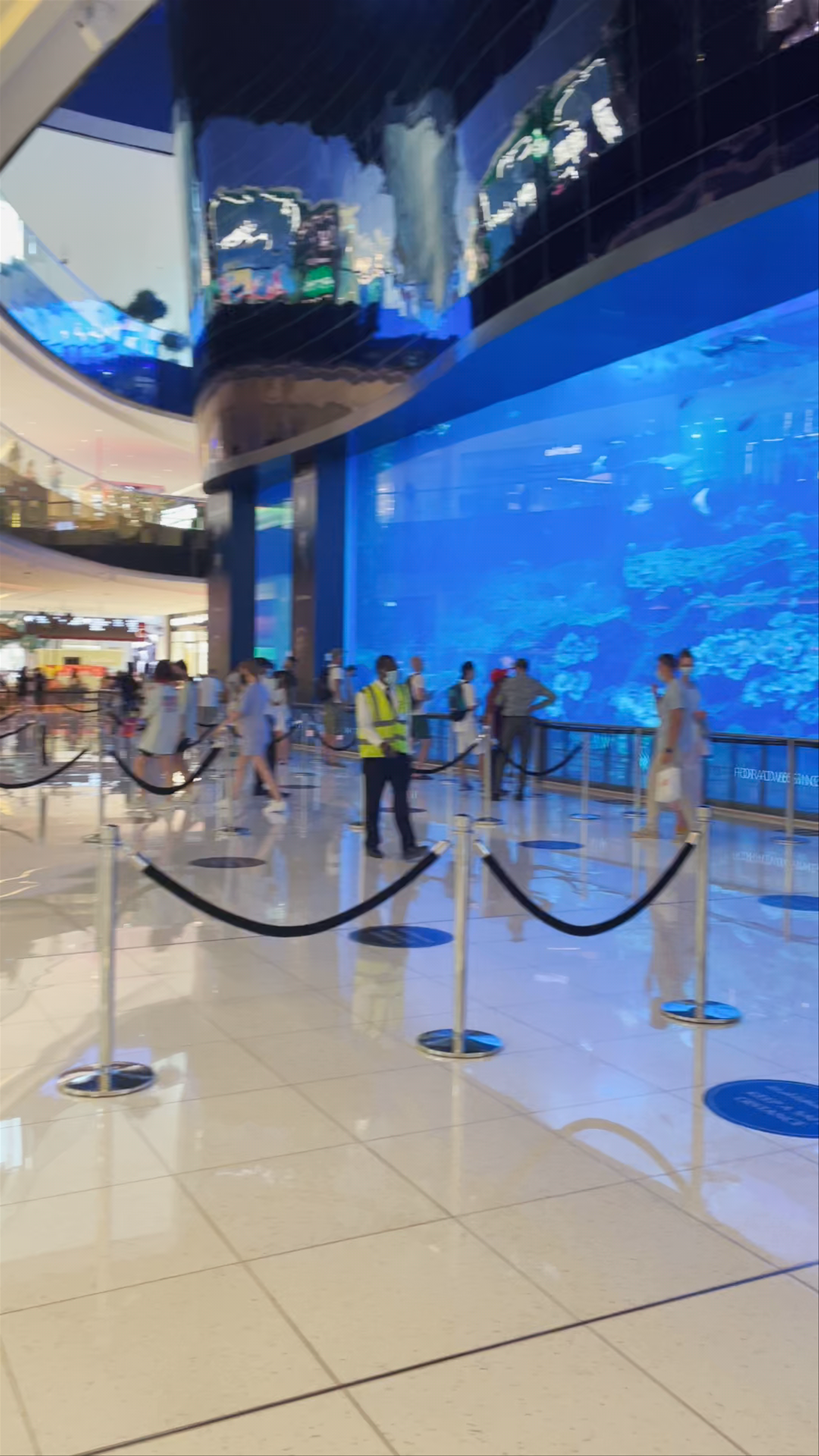 Underwater Wonders at The Dubai Mall Aquarium