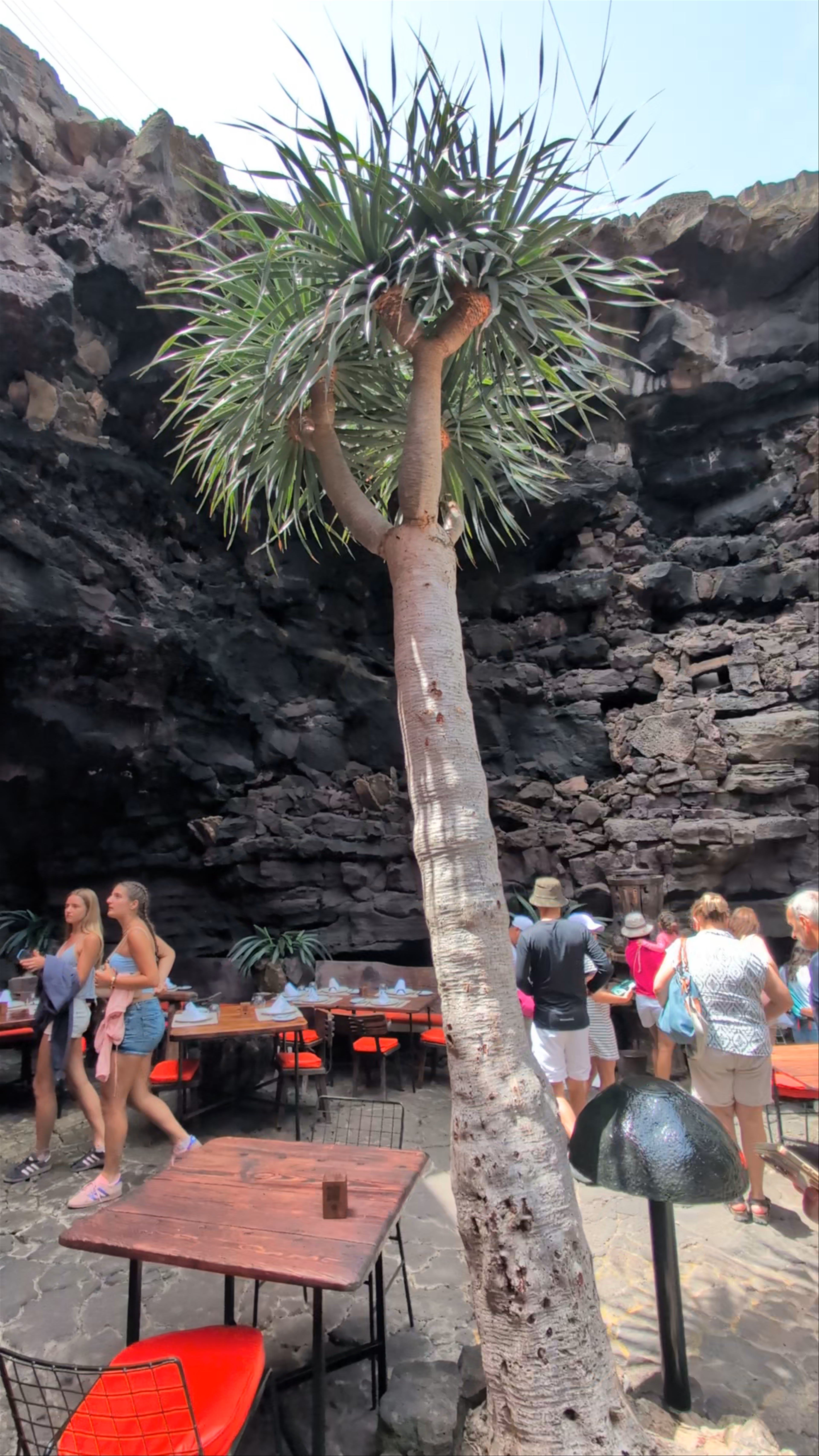 Jameos del Agua Restaurante