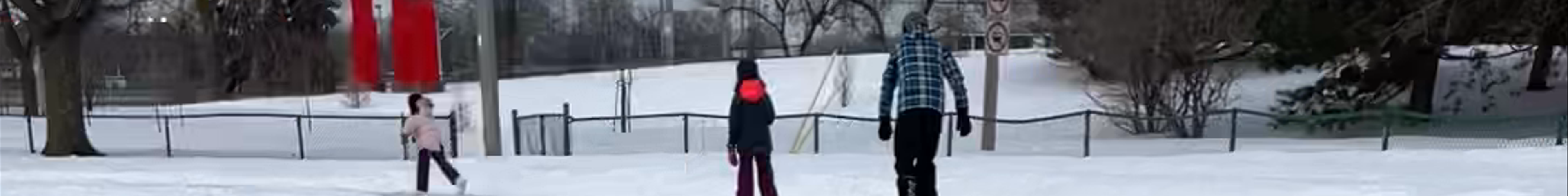 Tours & experiences in Montréal