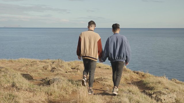 Various shots of happy gay ad lesbian couples at the beach