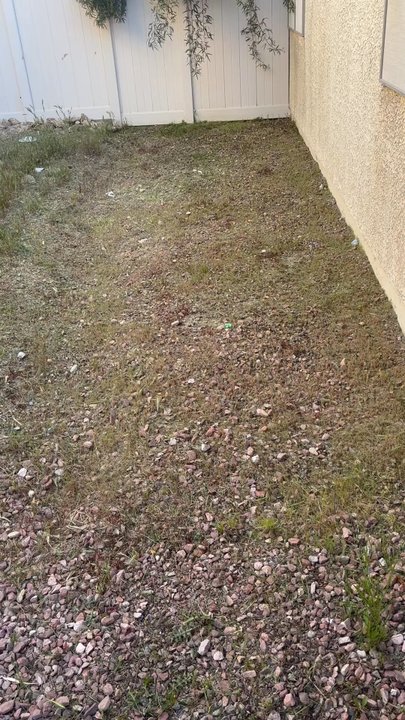 Dcancio Landscape - These are after videos of the poor job he did. It doesn't show the full video but there are four bushes in front that he didn't even touch. - Landscape Architects or Designers Near Me - Manor, Texas