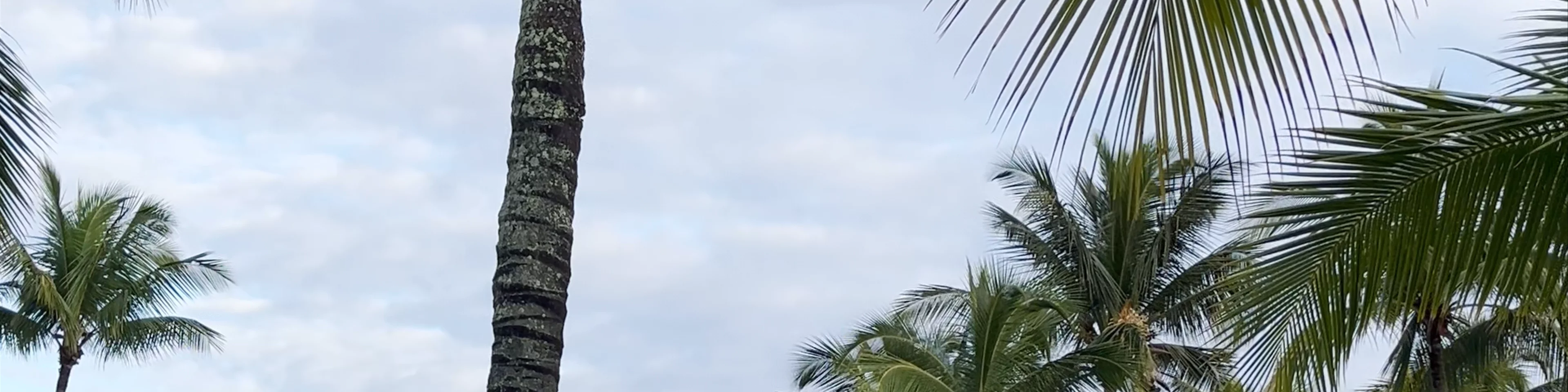 Trou aux Biches Beachcomber Golf Resort & Spa