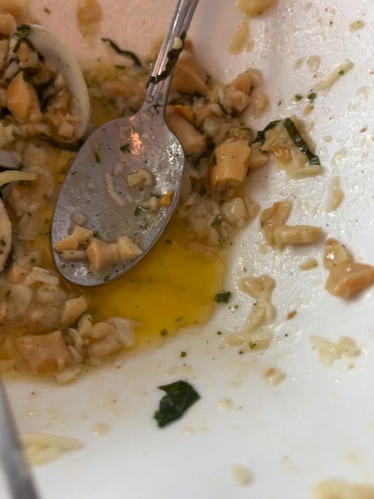Stefano's - The oil in the linguini in white clam sauce - Seafood Near Me - Beach Haven, New Jersey
