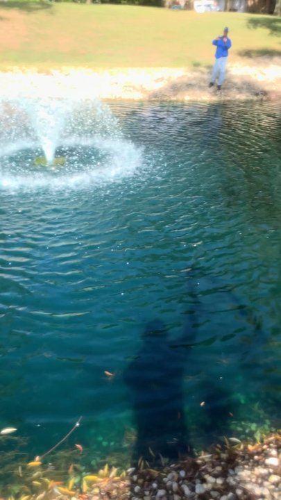 Scientific Aquatic Weed Control - Local Services Near Me - Gurnee, Illinois