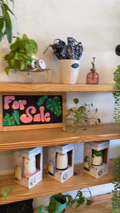Rawfully Delicious Cafe - Inside - Cafes Near Me - Fort Myers, Florida
