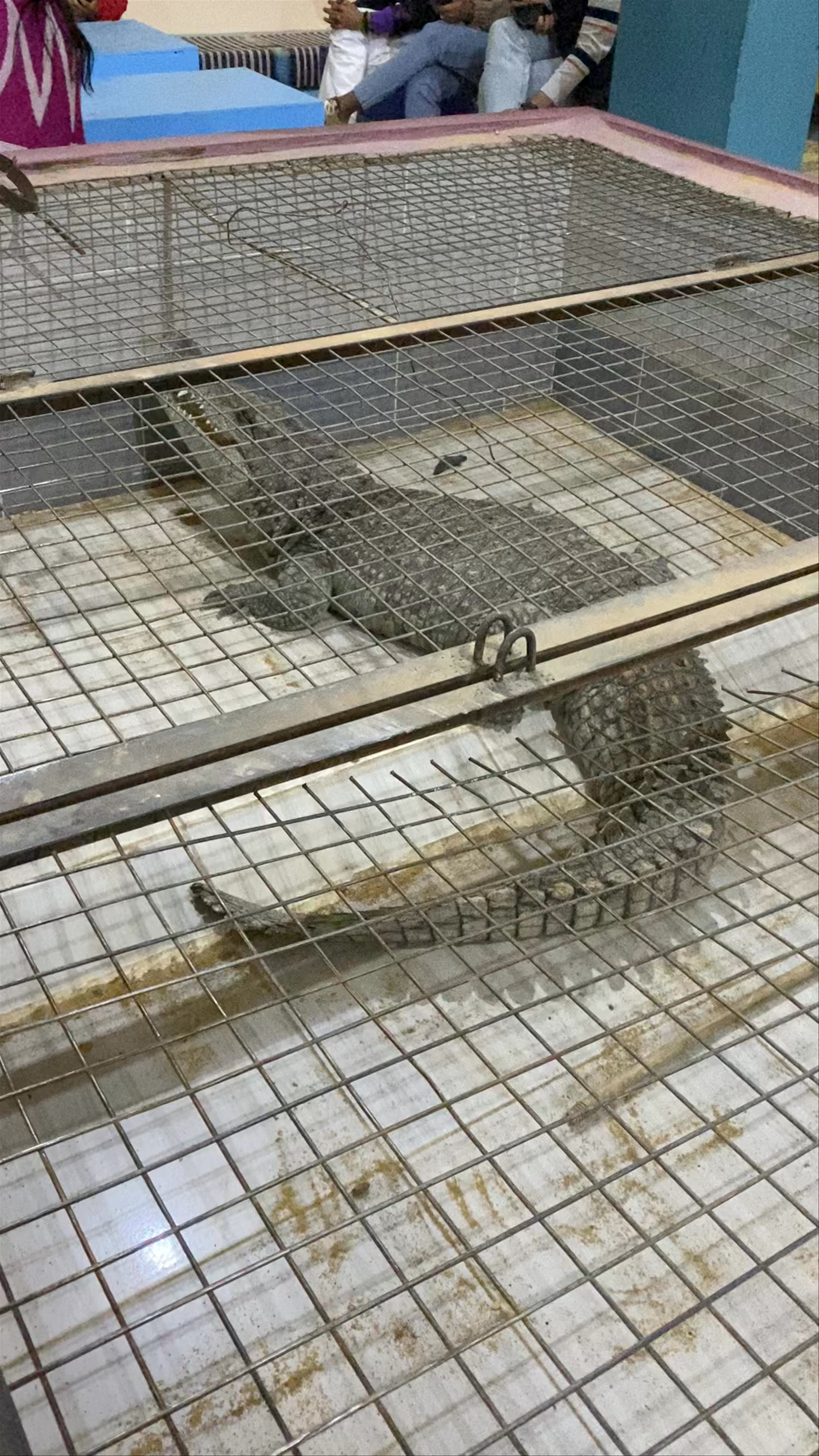 Núbiai falu-Crocodile House