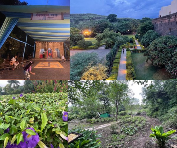 Photo of Greeted and treated 