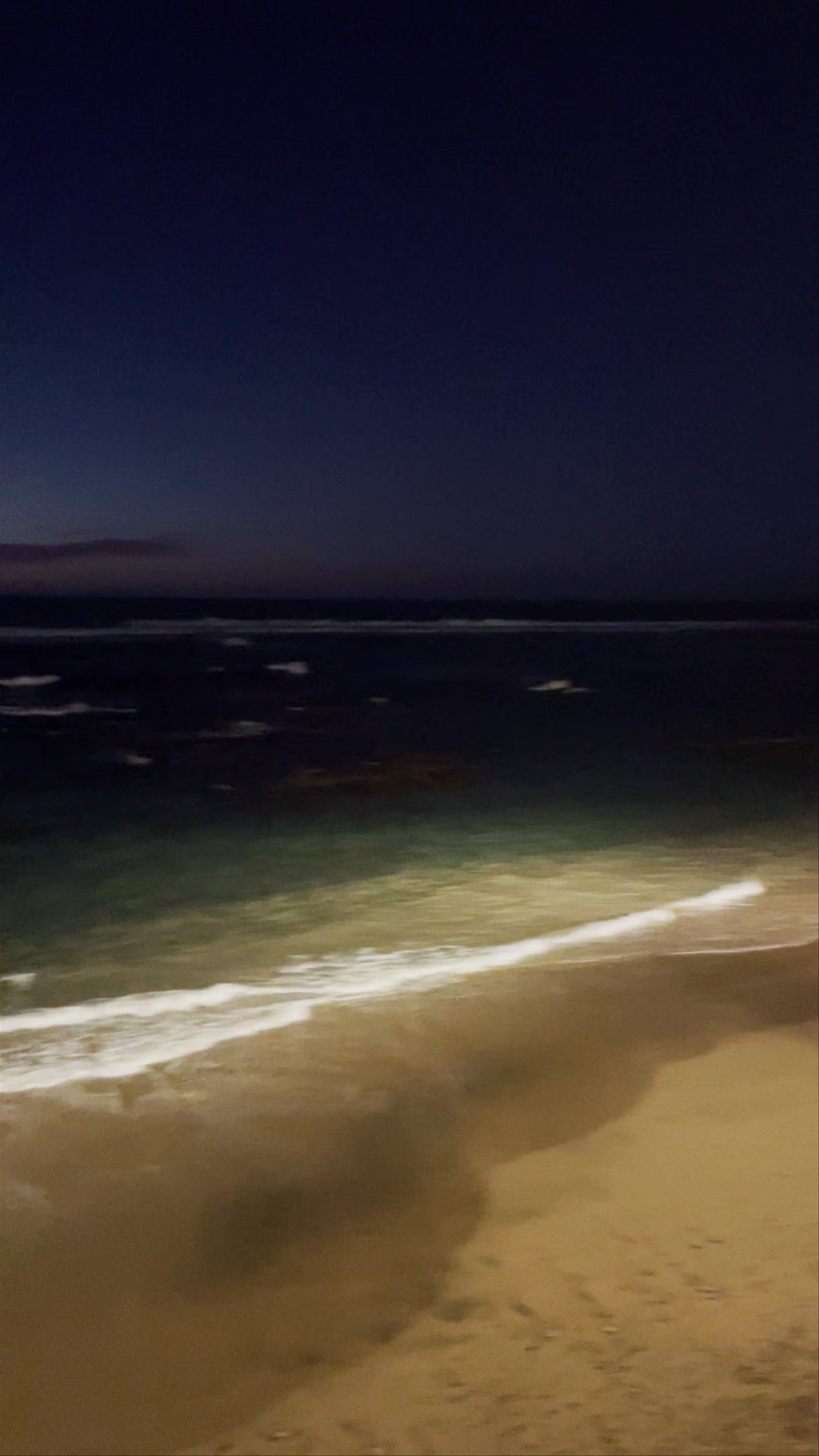 Playa de Las Canteras (Las Palmas de Gran Canaria)
