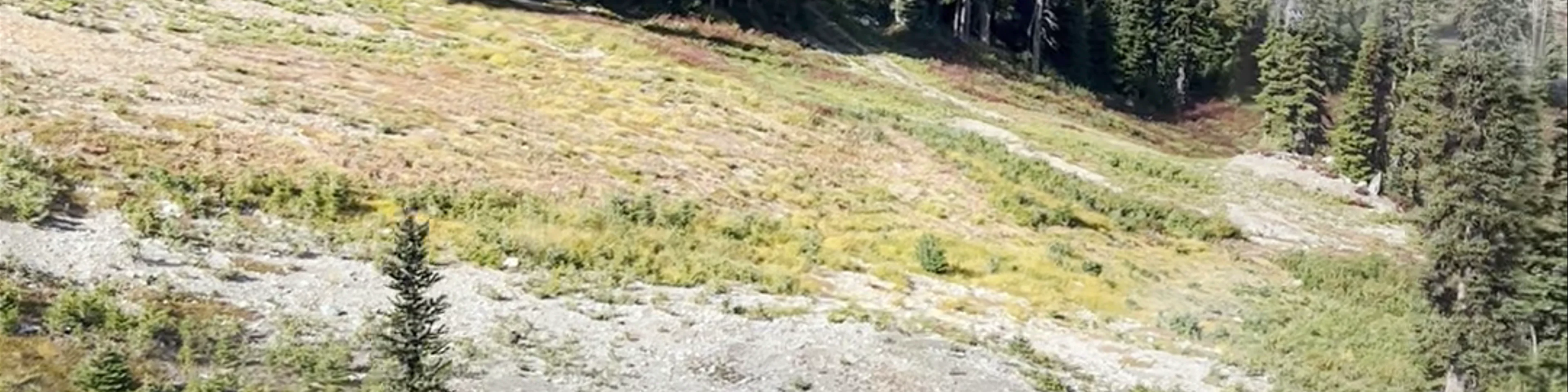 Whistler Blackcomb