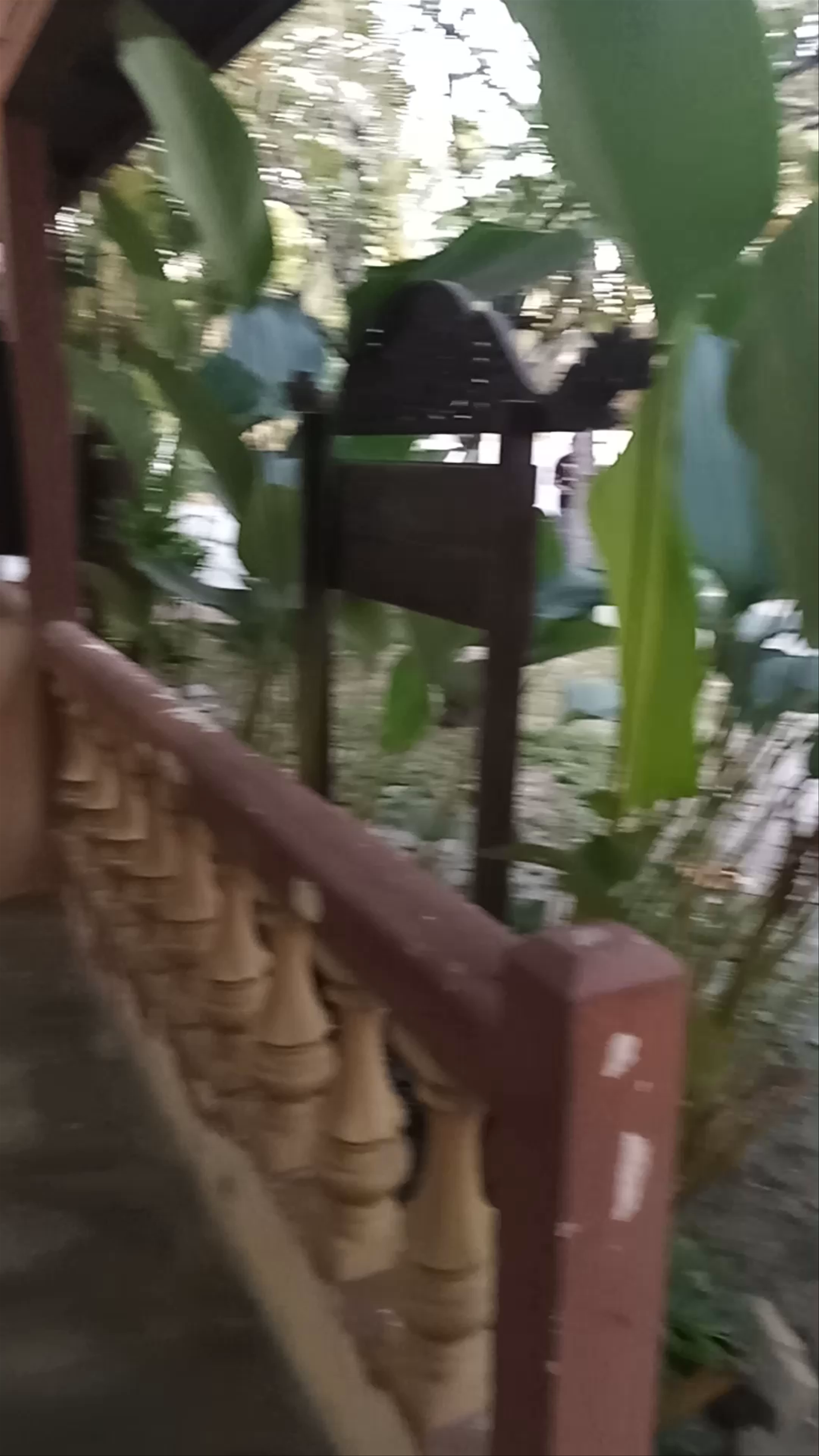 Cenang Home Stay @ cenang village