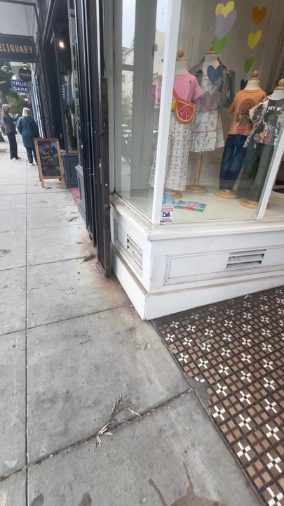 Faherty San Francisco - This store's secret weapon? A four-legged marketing K9 director. Five stars for paws-on approach. - Men's Clothing Near Me - San Francisco, California