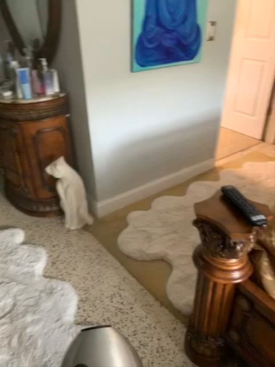 Mold Solutions - Dry fogging for mold sanitation. - Damage Restoration Near Me - Clearwater, Florida