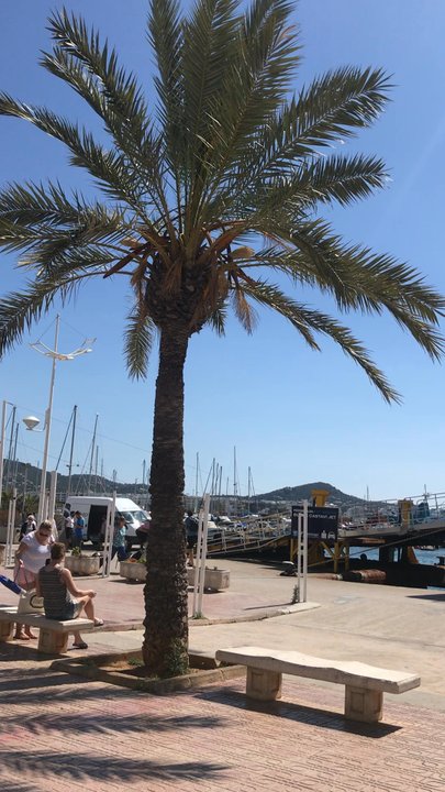 Serveis Maritims Port D'eivissa - Amusement Parks Near Me - Eivissa, PM