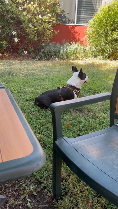 Heska's Sugar Shack - Us waiting for our food in the Bark Park area - Sandwiches Near Me - Mentone, California