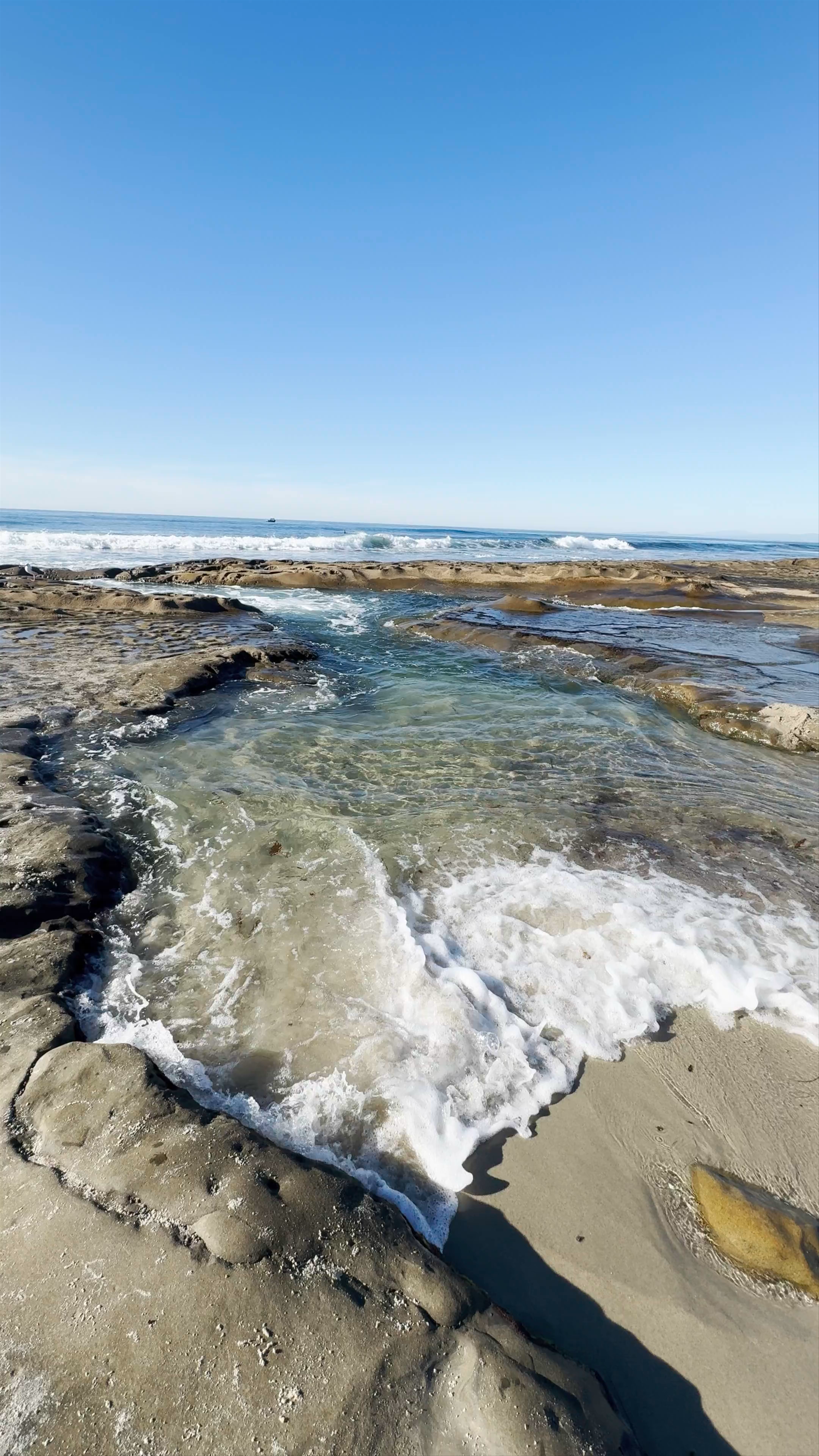 La Jolla Tide Pools