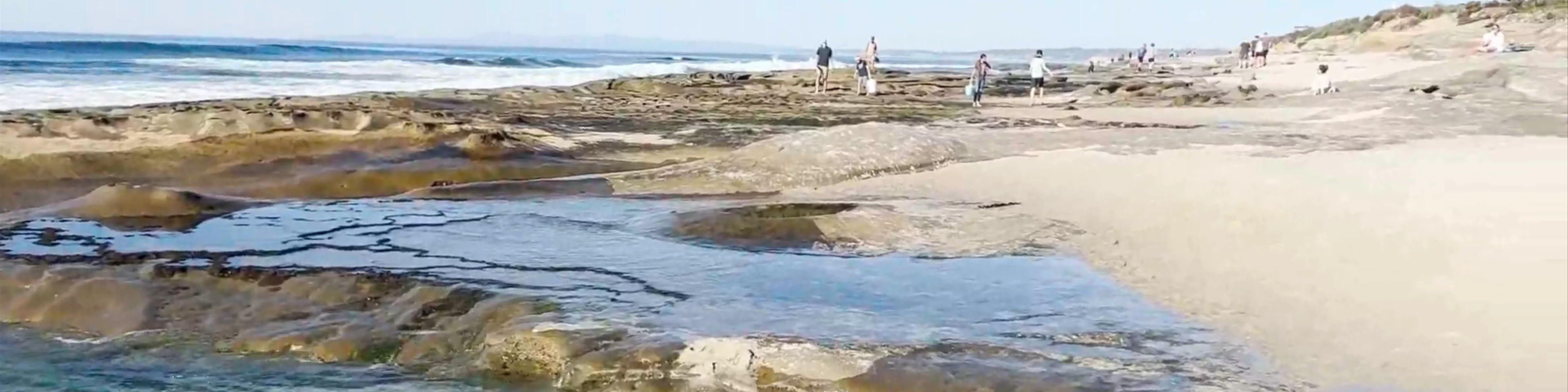 La Jolla Tide Pools