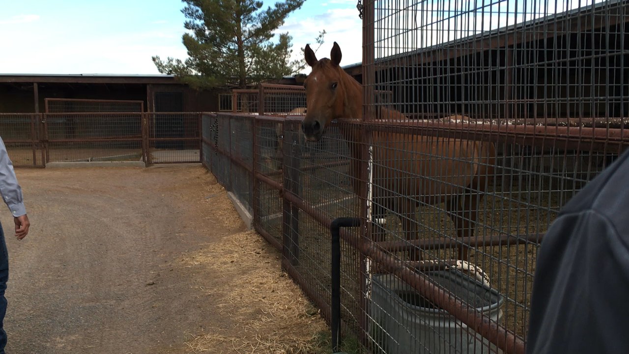 Bowen Ranch - Friendly - Ranches Near Me - El Paso, Texas