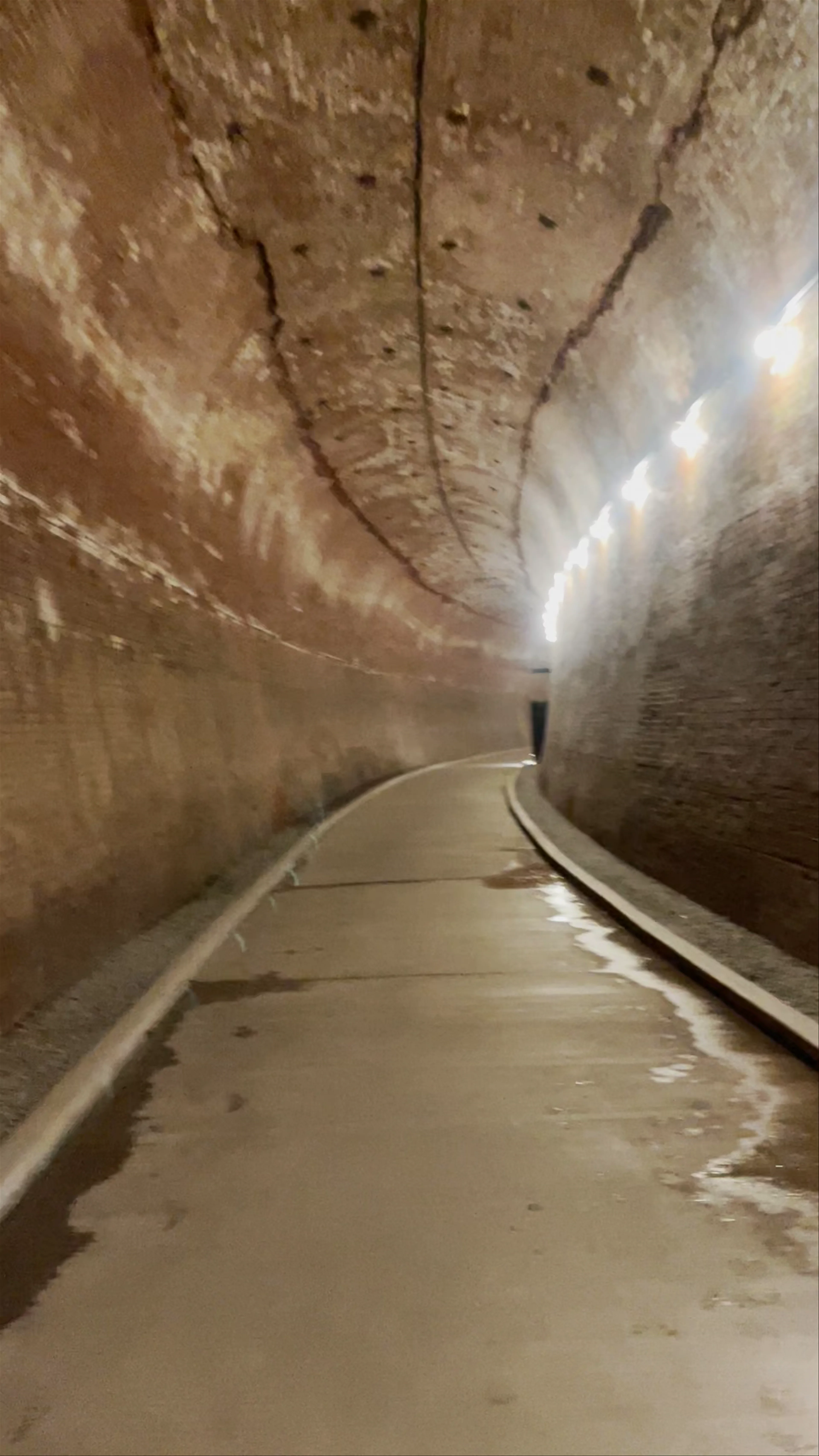 The Tunnel at Niagara Parks Power Station