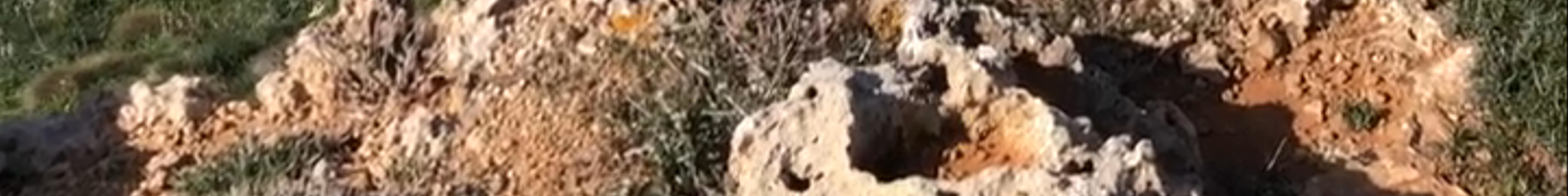 Tours & experiences in San Pawl il-Baħar