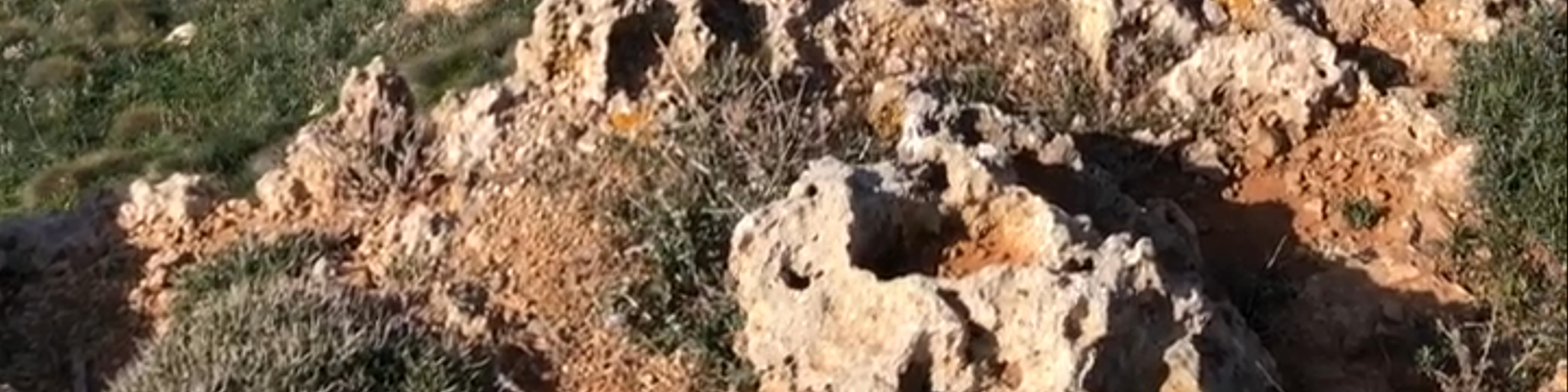 Tramuntana