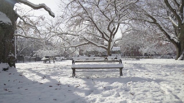 Slow motion of snow falling on a bench