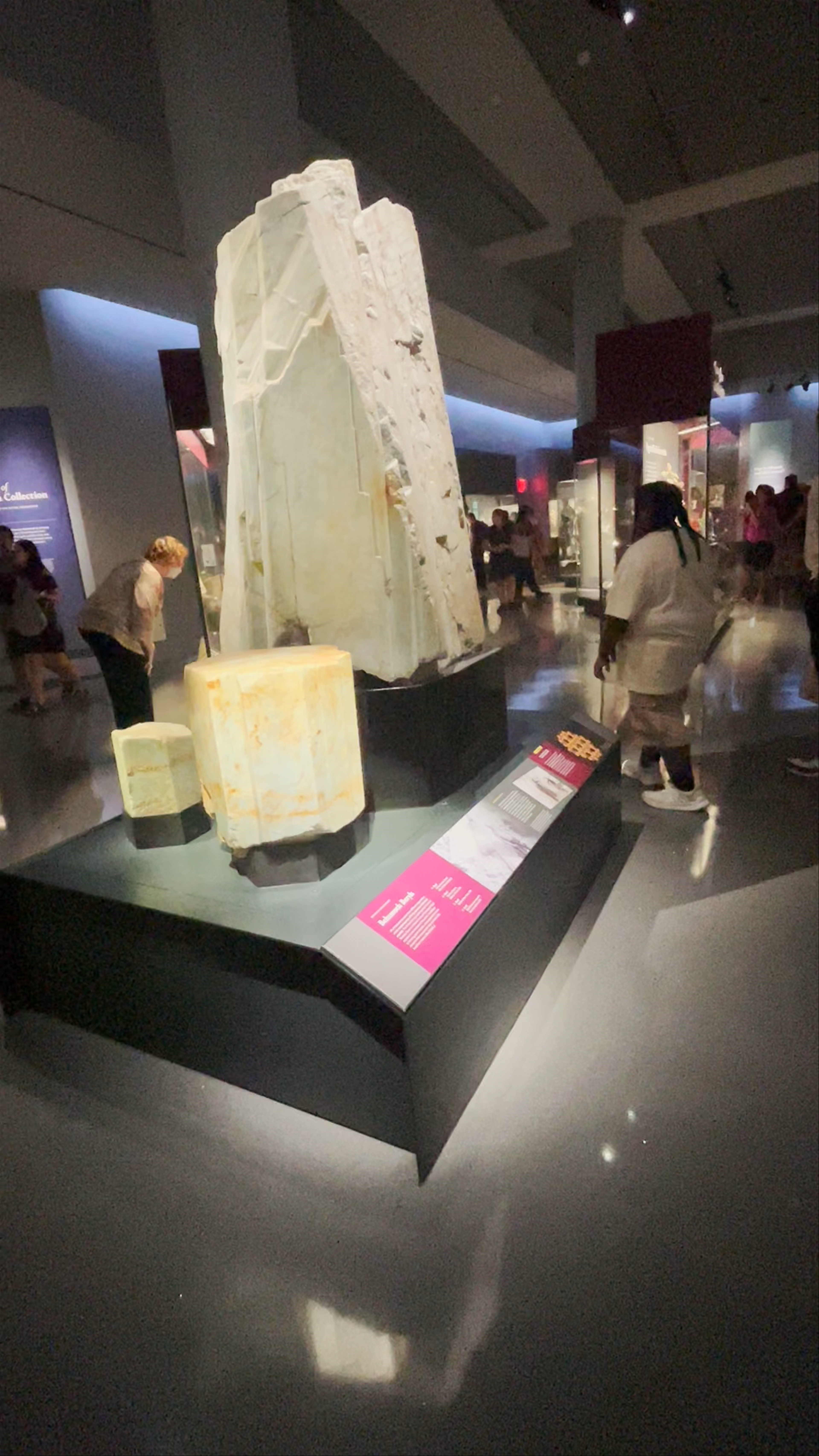 American Museum of Natural History
