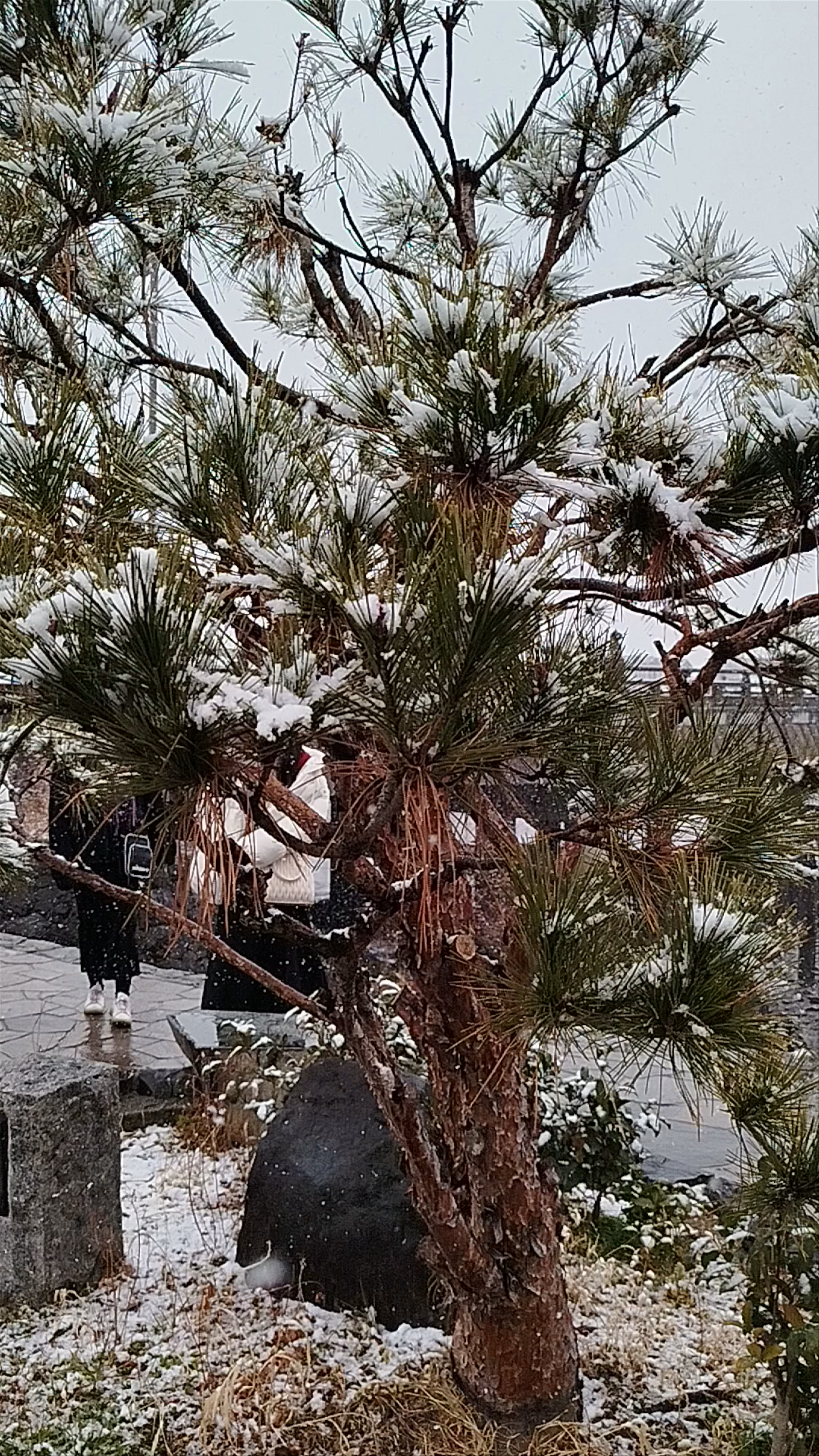 Statue of Murasaki Shikibu