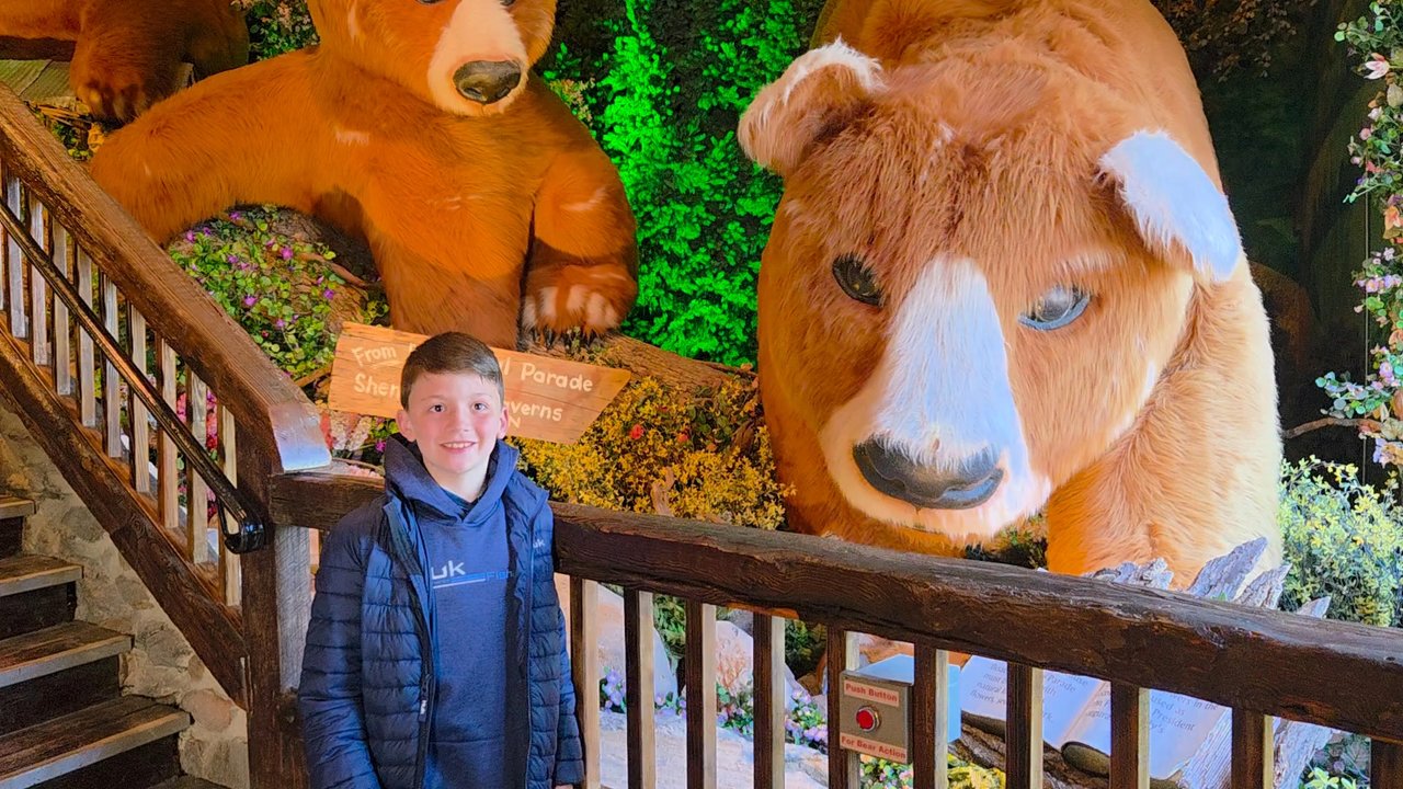 Shenandoah Caverns - These HUGE bears are from a former float parade. - Venues & Event Spaces Near Me - Quicksburg, Virginia
