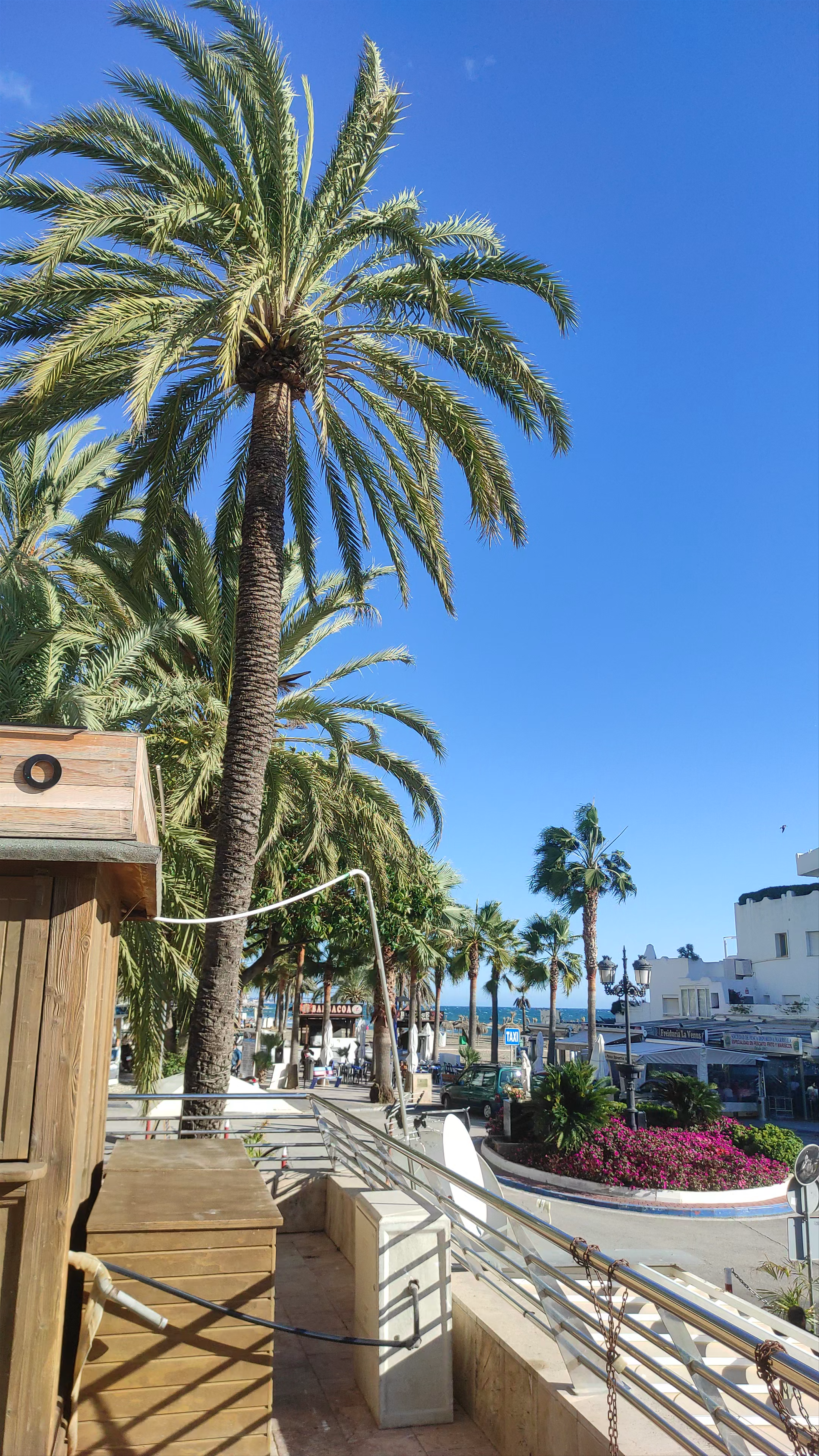 Sunny Coastal Vibes at Real Club Maritimo Marbella