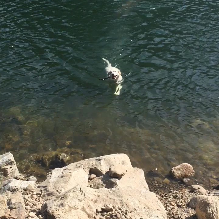 Corbin Park - A quiet, family- friendly park with river-access, picnic tables, easy parking - Beaches Near Me - Post Falls, Idaho