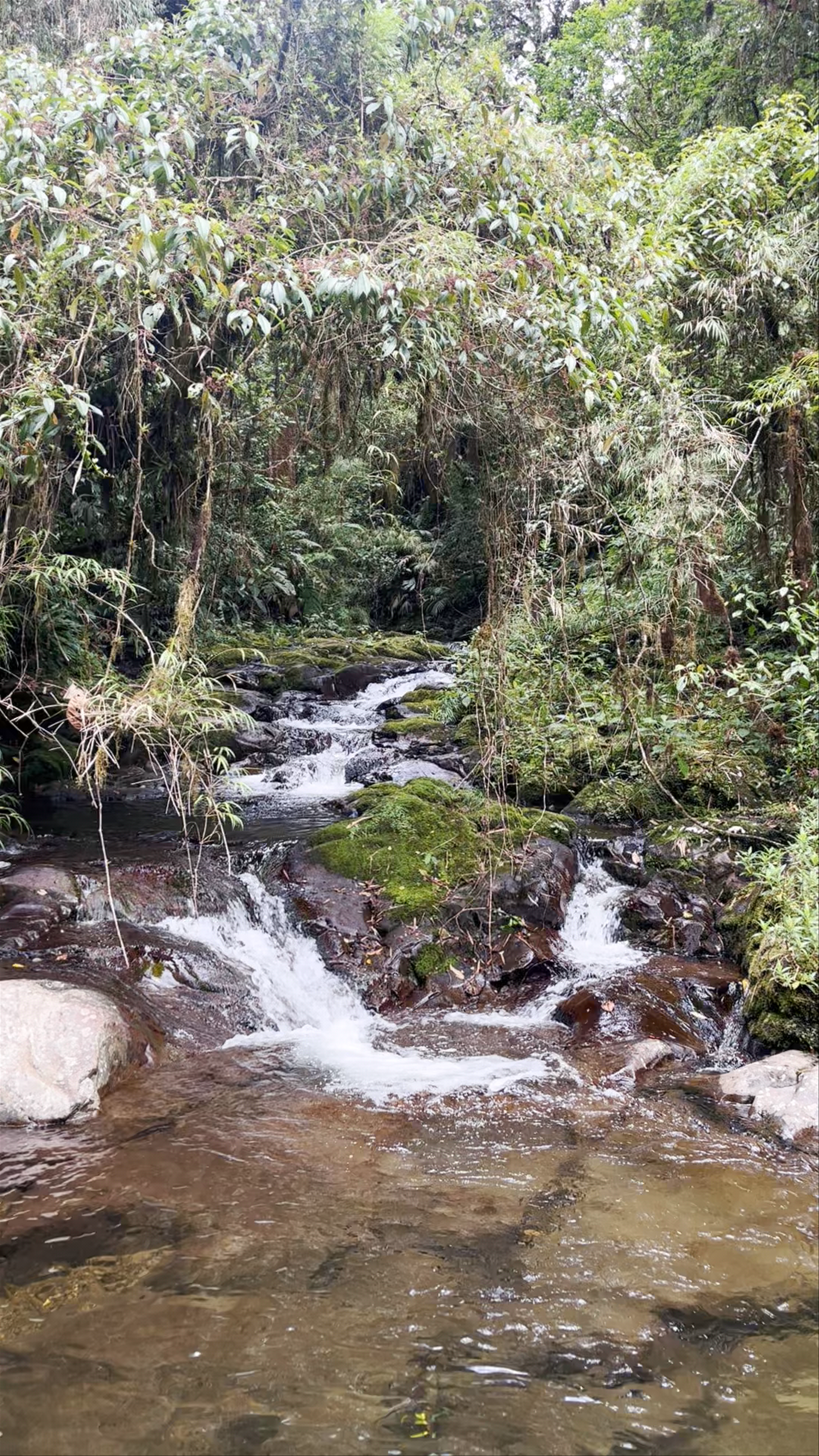 The Lost Waterfalls / Las Tres Cascadas