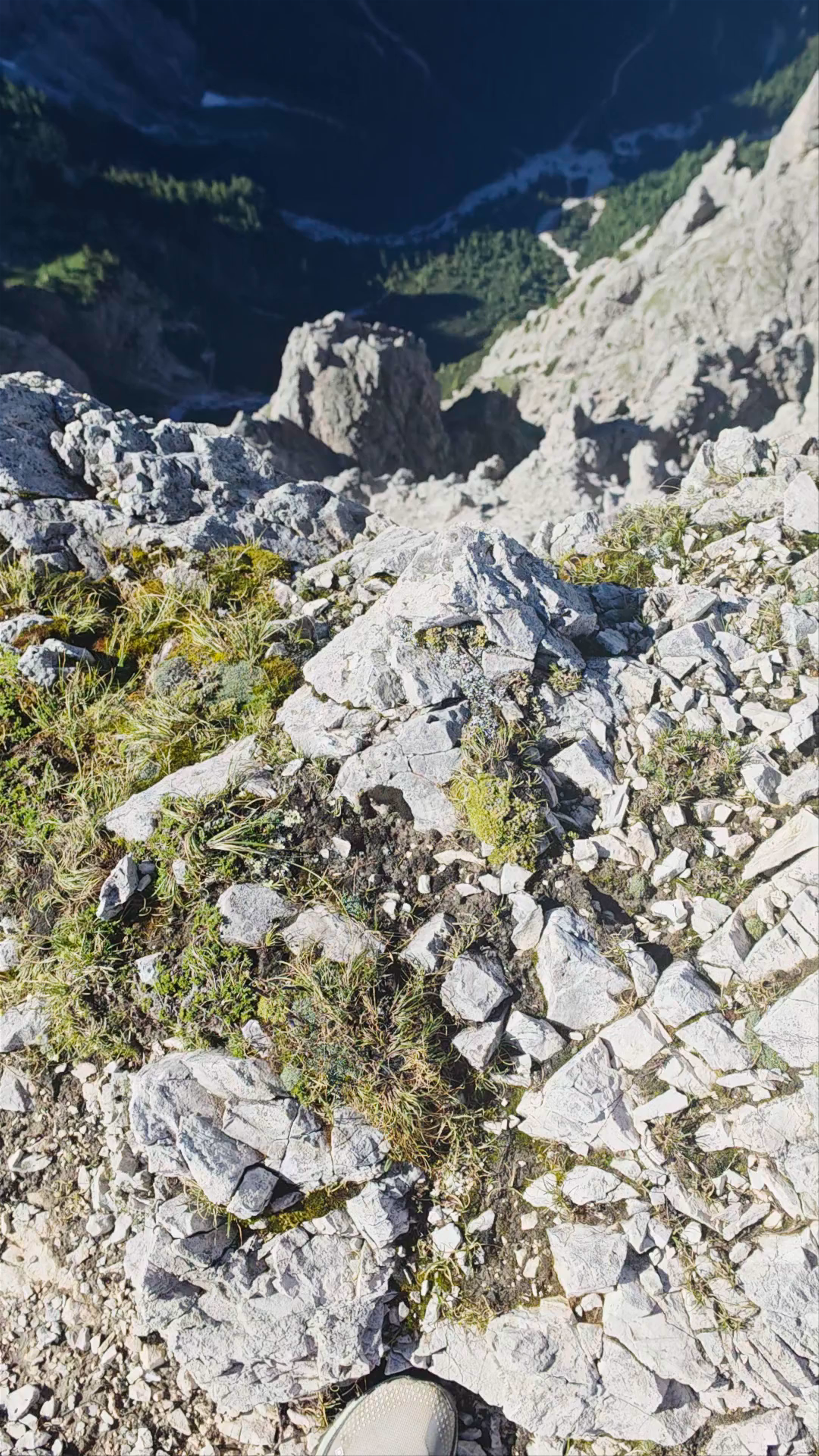 Breathtaking Summit Views from Cima Rosetta, San Martino di Castrozza