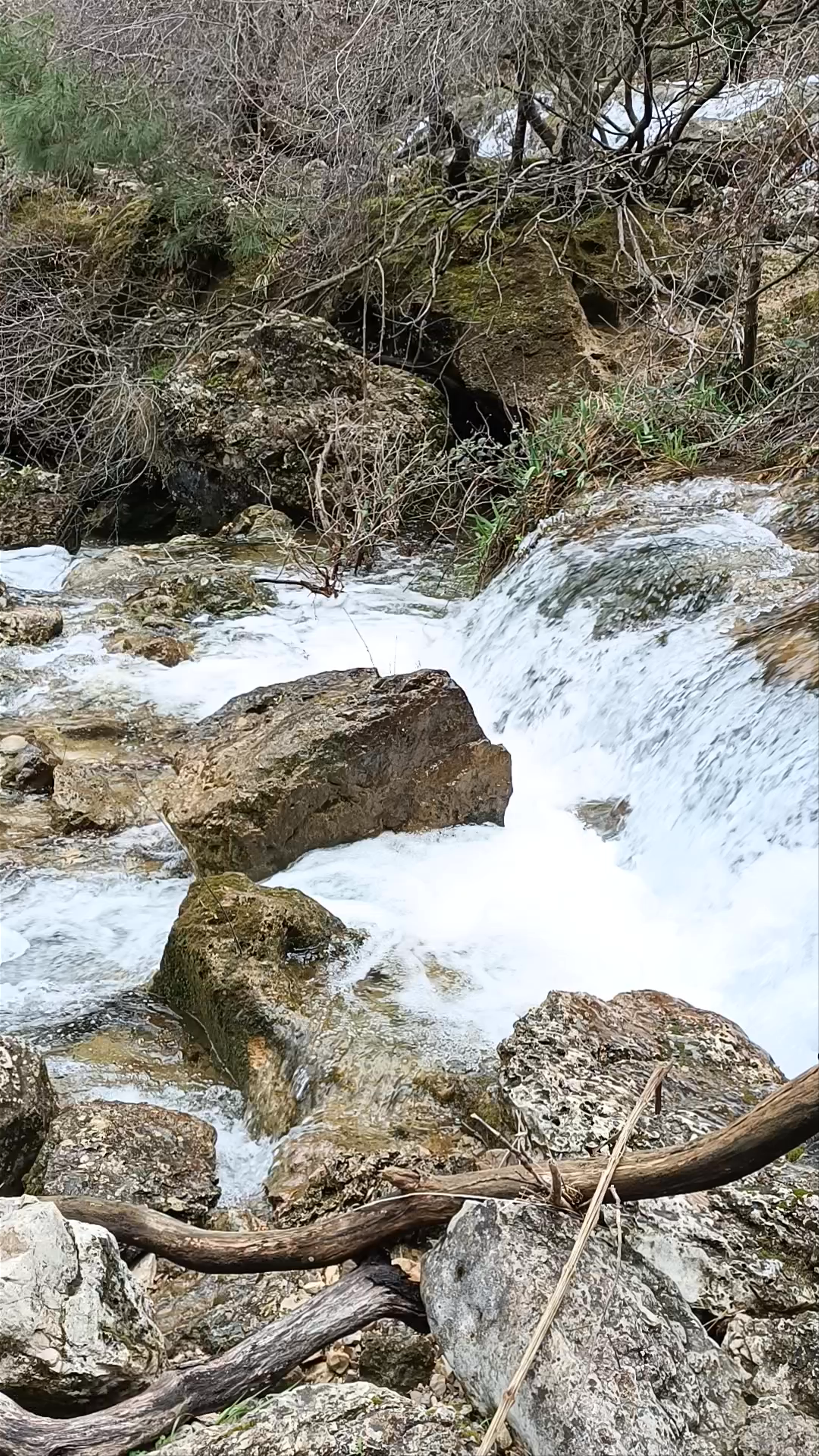 Nacimiento del Río Mundo