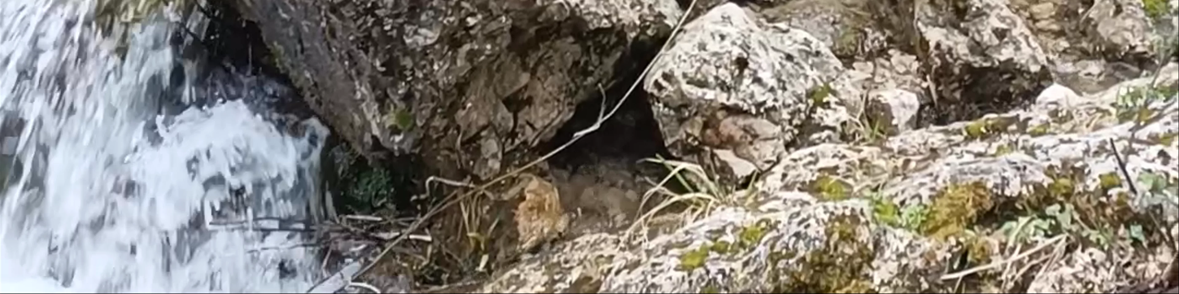 Nacimiento del Río Mundo