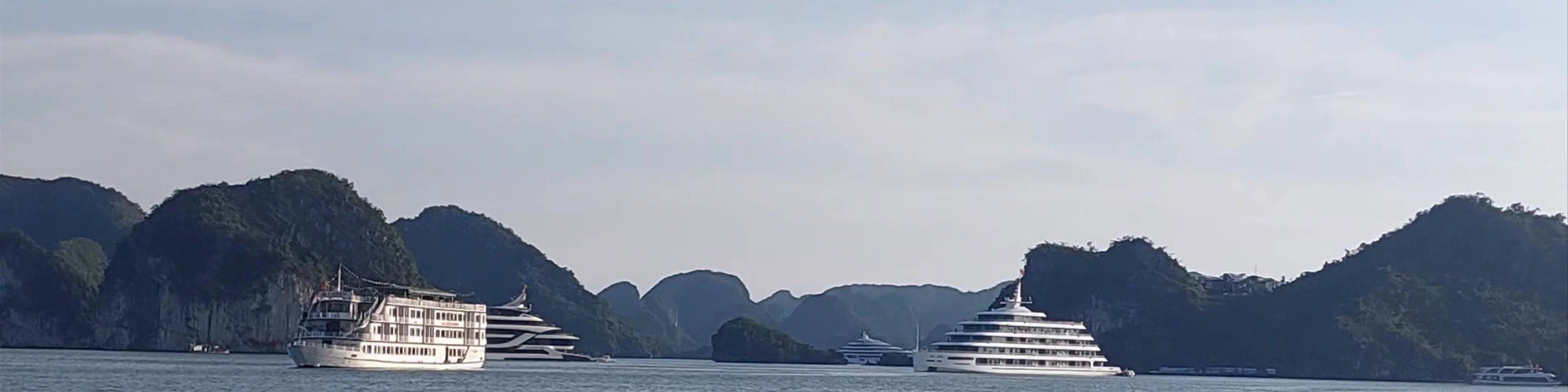 Halong Bay Cruises